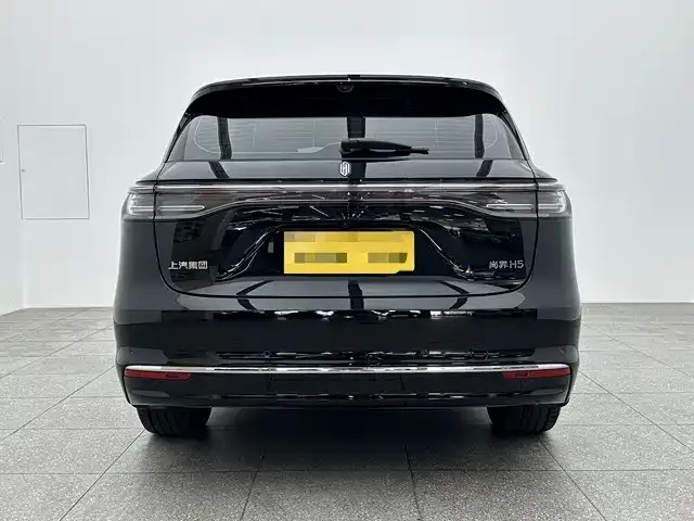 Shangjie H5 Shangjie H5 2025 Extended Range Max 2025 — миниатюра 2
