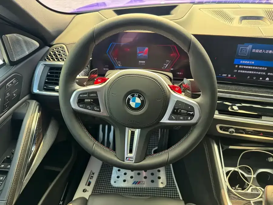 BMW X6 M BMW X6 M 2023 X6 M Thunder Edition 2025 — миниатюра 5