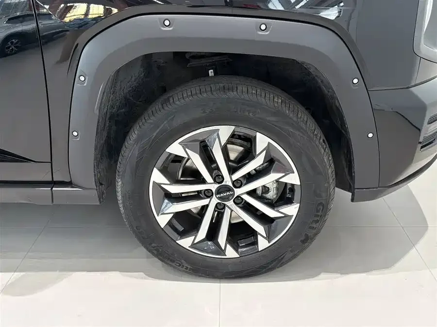 Haval Big Dog PLUS Haval Big Dog PLUS 2023 2.0T 2WD Trendy Wild Edition Plus 2025 — миниатюра 3