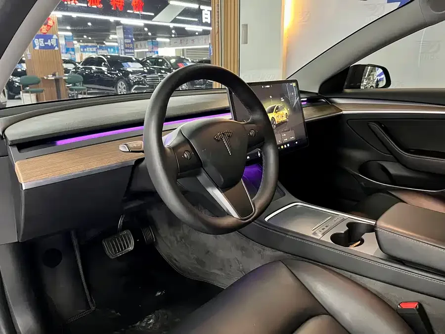 Tesla Model 3 Model 3 2022 rear-wheel drive version 2023 — миниатюра 3