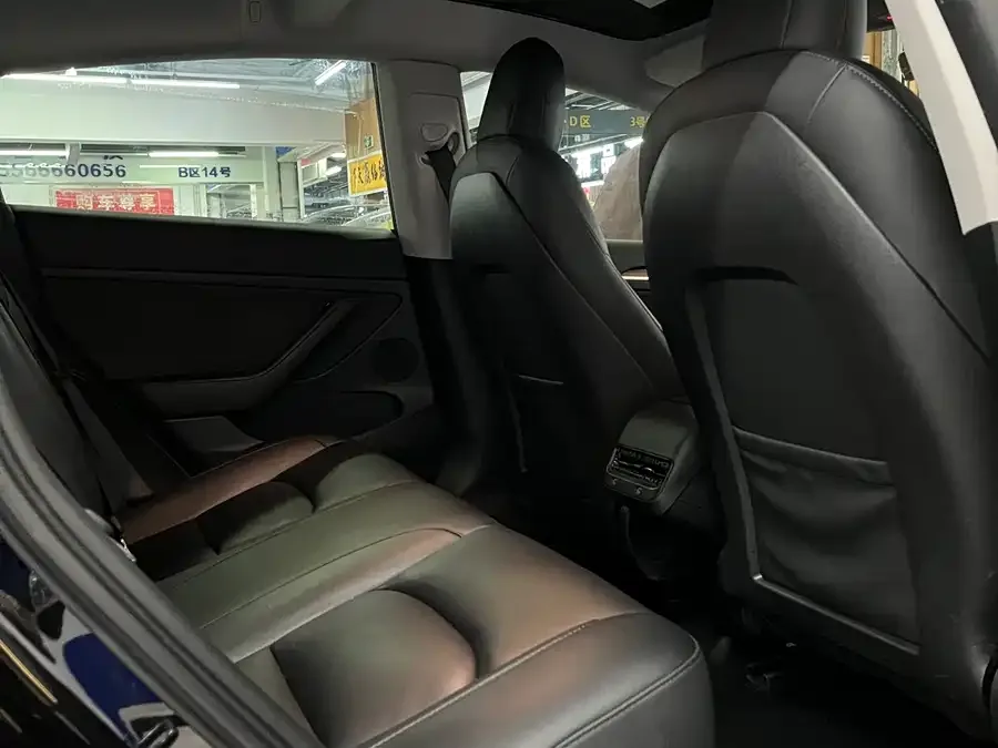 Tesla Model 3 Model 3 2022 rear-wheel drive version 2023 — миниатюра 4