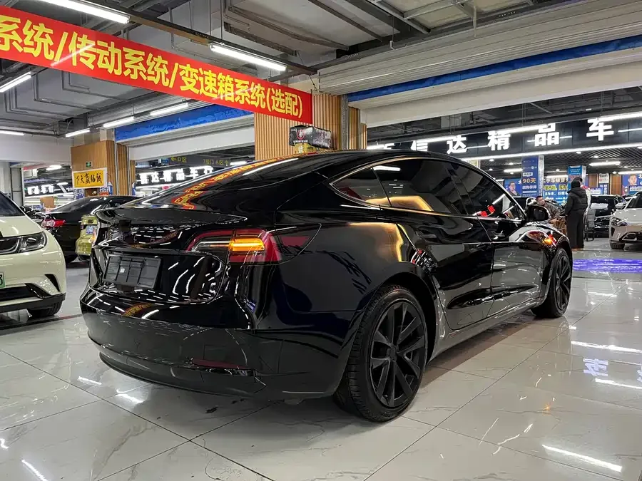Tesla Model 3 Model 3 2022 rear-wheel drive version 2023 — миниатюра 5