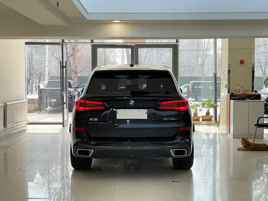 BMW X5 2022 xDrive 30Li Exclusive M Sport Package 2023 — миниатюра 2