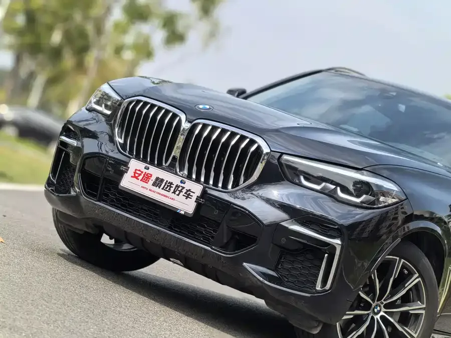BMW X5 2022 facelift xDrive 30Li M Sport package 2022 — миниатюра 2