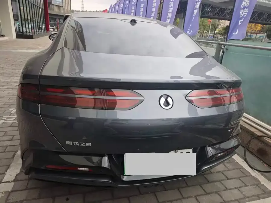 BYD Z9 Denza Z9 2024 1100km 4WD Max Edition 2024 — миниатюра 2