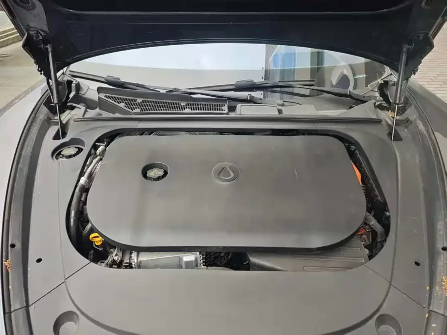BYD Z9 Denza Z9 2024 1100km 4WD Max Edition 2024 — миниатюра 4
