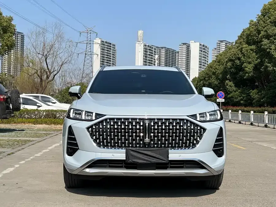 WEY Mocha Wei Mocha 2021 2.0T 2WD Special Edition 2022 — фото 1, купить с доставкой в Москву
