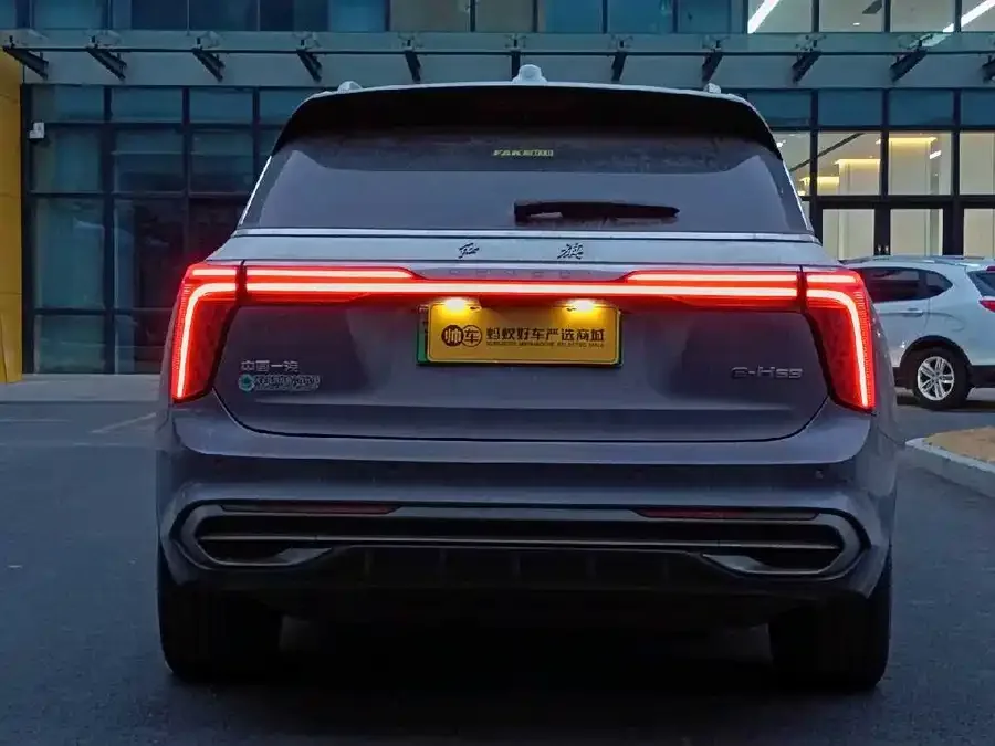 Hongqi E-HS9 Hongqi E-HS9 2022 660km flag collar version four seats 2023 — миниатюра 2
