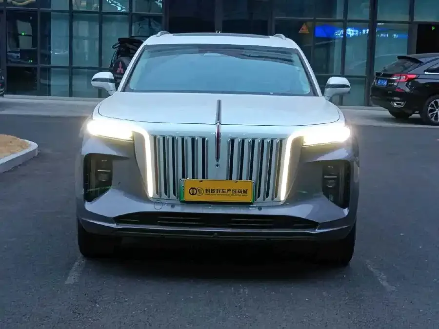 Hongqi E-HS9 Hongqi E-HS9 2022 660km flag collar version four seats 2023 — миниатюра 3