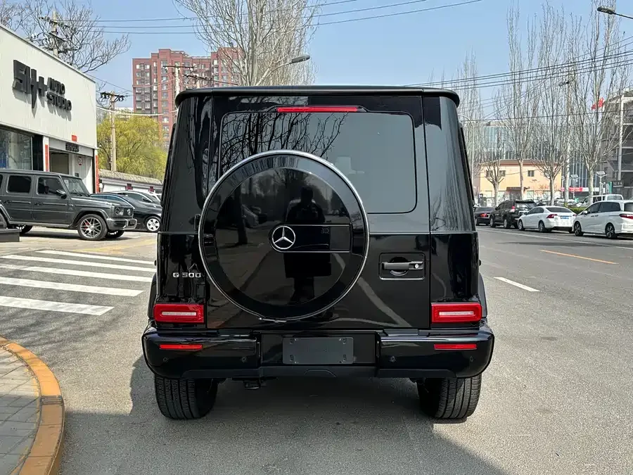 Mercedes-Benz G-rated Mercedes-Benz G-Class 2024 G 500 2024 — миниатюра 2