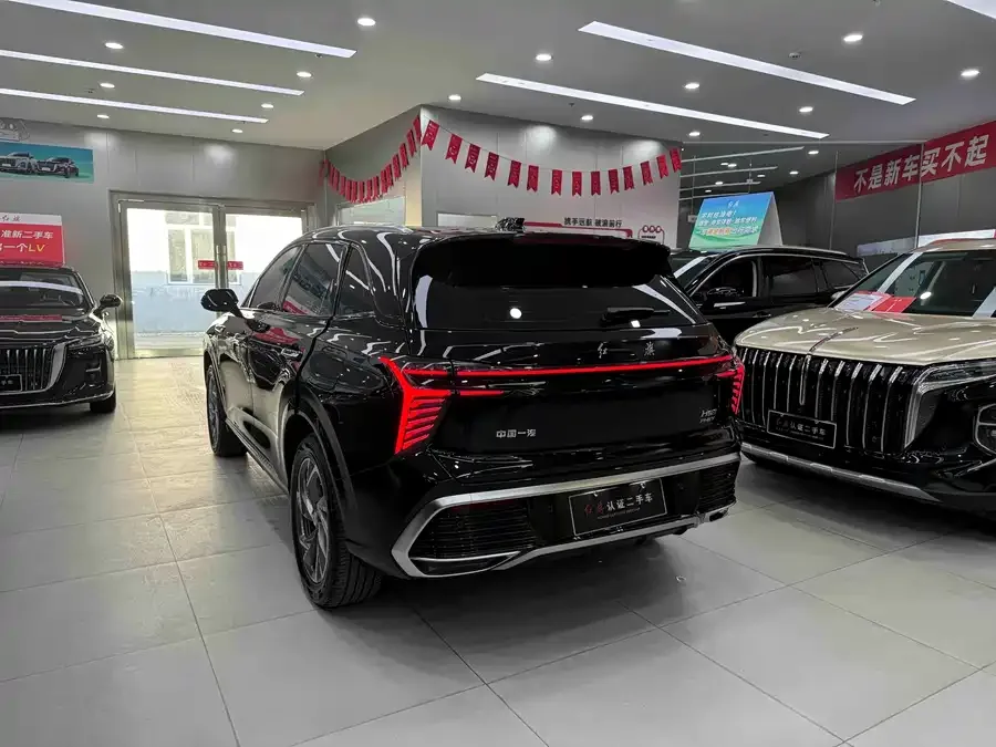 Hongqi HS3 PHEV Hongqi HS3 PHEV 2024 115km Jinwei Edition 2025 — миниатюра 5