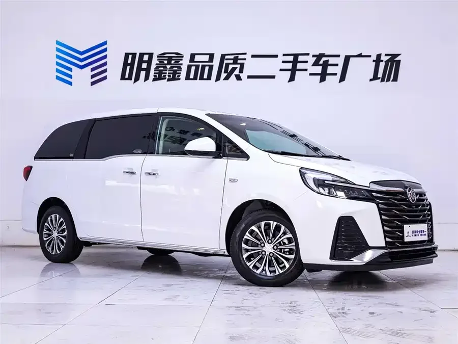 Buick GL8 2023 facelift land business class luxury model 2023 — миниатюра 2