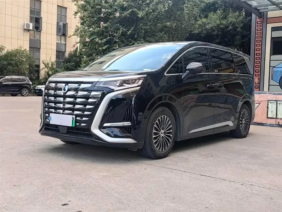 BYD D9 2023