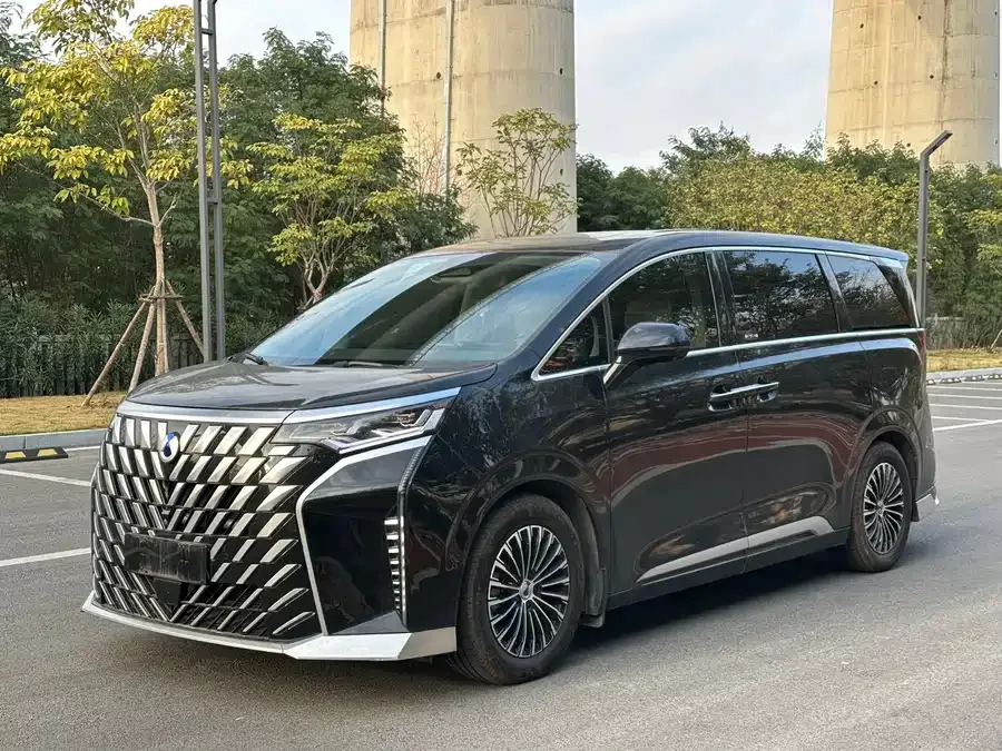 BYD D9 2024