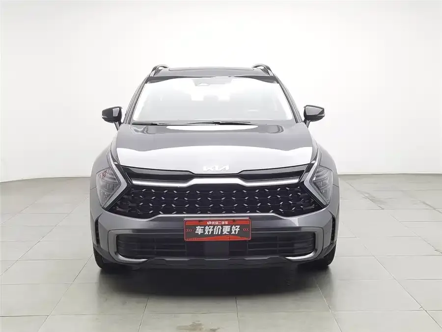 Kia Lion Platinum 2023 Lion Bo Tuojie 2.0T 2WD Premium Edition 2024 — миниатюра 3