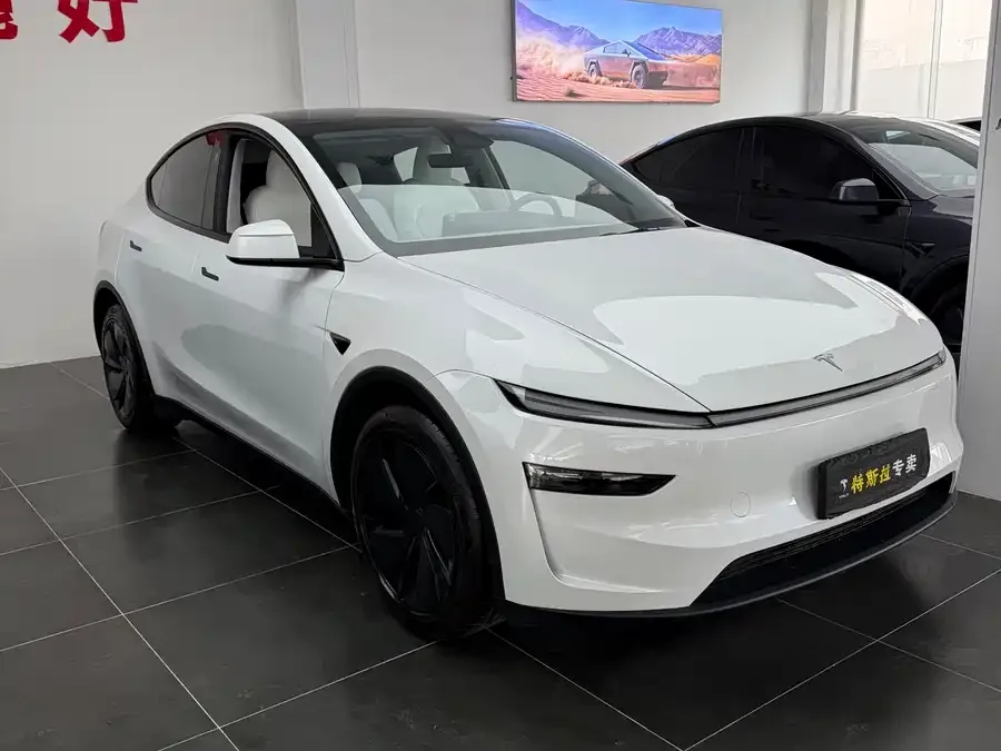 Tesla Model Y Model Y 2025 long-range all-wheel drive version 2025 — миниатюра 3
