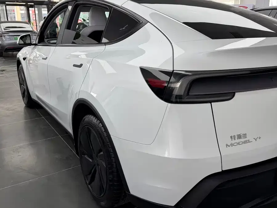 Tesla Model Y Model Y 2025 long-range all-wheel drive version 2025 — миниатюра 5