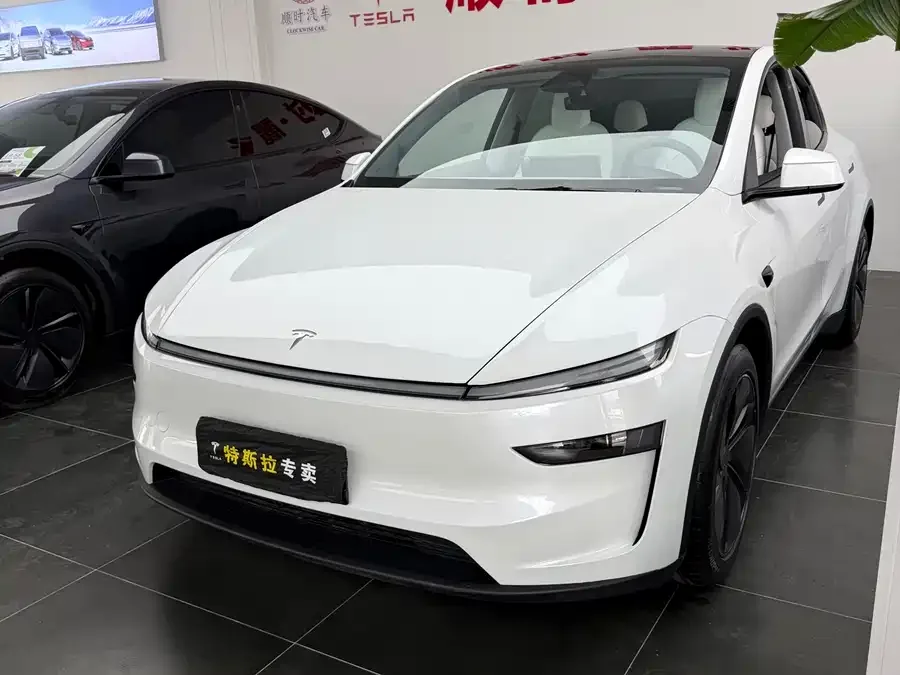 Tesla Model Y Model Y 2025 long-range all-wheel drive version 2025 — фото 1, купить с доставкой в Москву