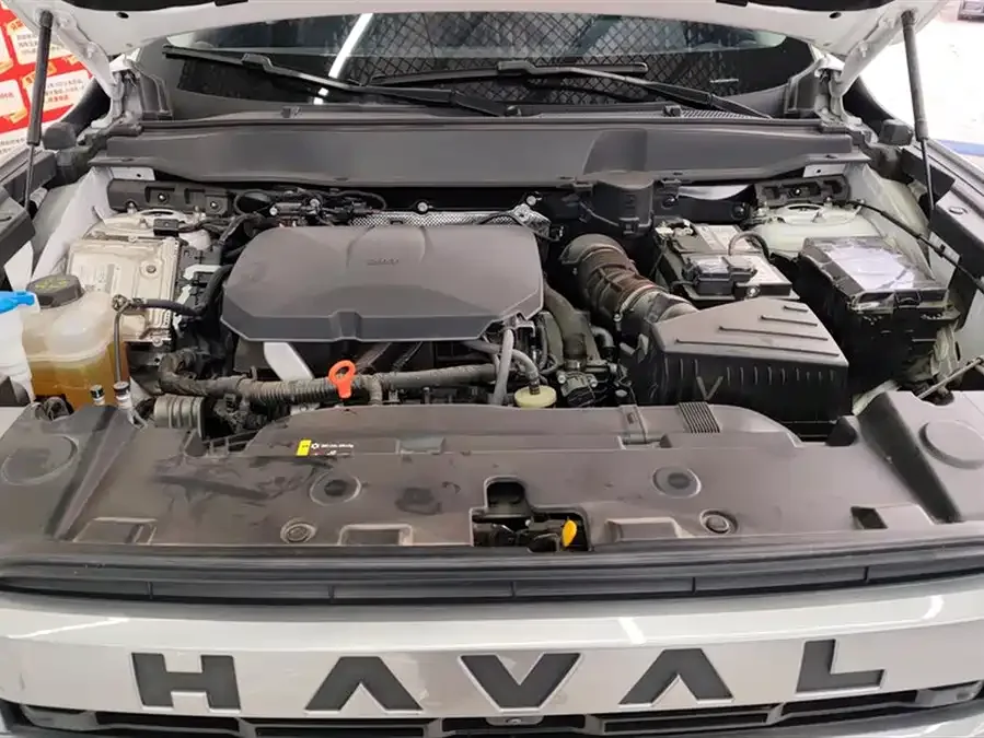 Haval Big dog Haval Big Dog 2024 2.0T DCT Chinese Pastoral Dog Edition 2024 — миниатюра 3