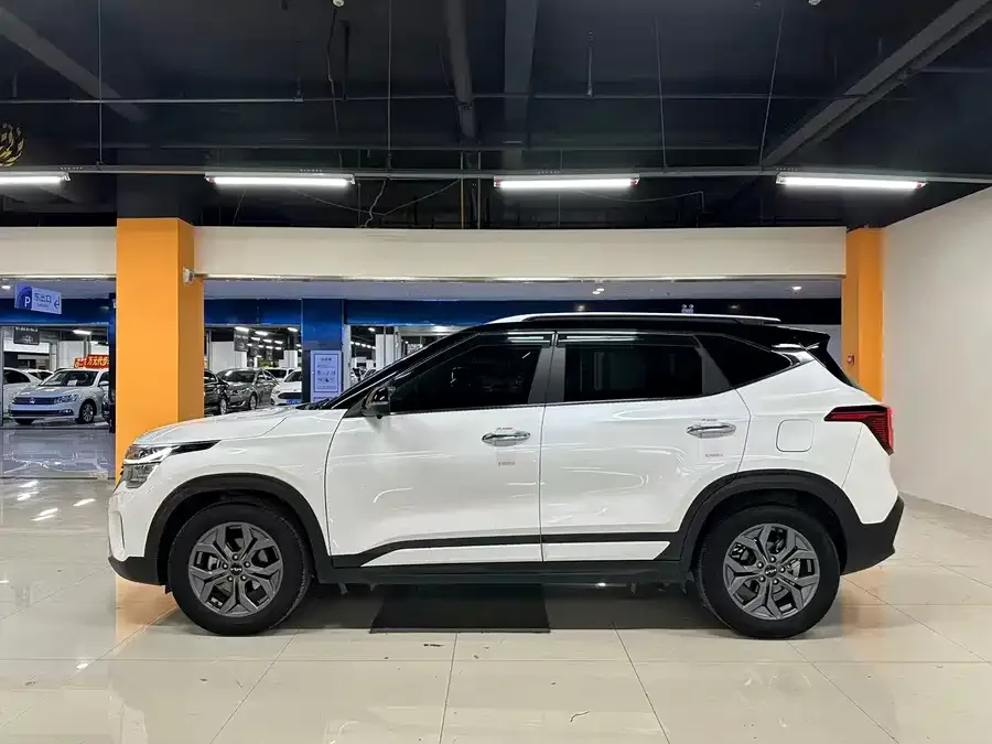 Kia Cyrus (Seltos) 2023 Certus 1.5L CVT Luxury Edition 2023 — миниатюра 3