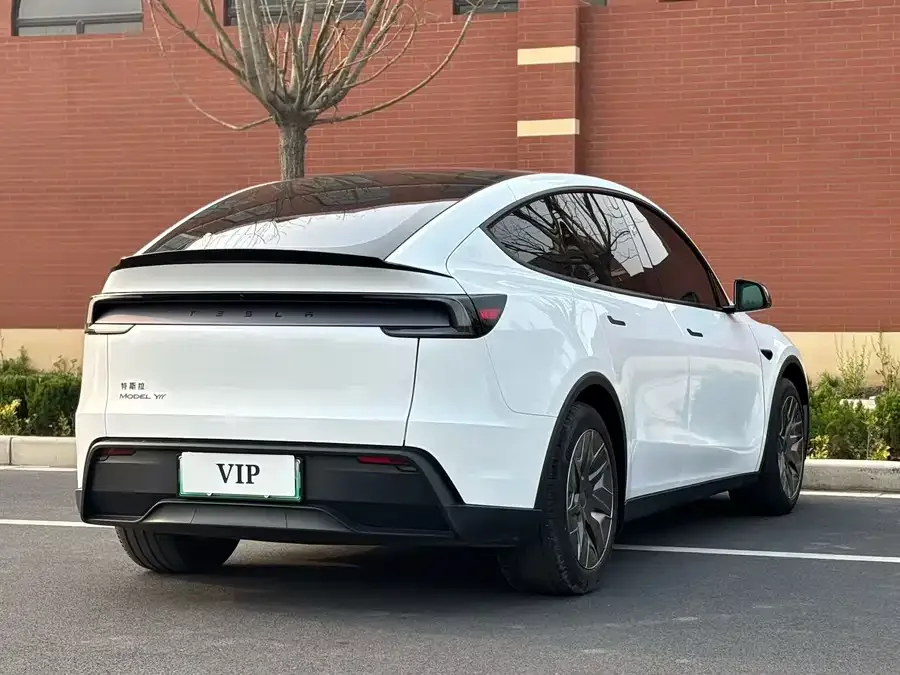 Tesla Model YL Model YL 2025 long-range all-wheel drive version 2025 — миниатюра 3