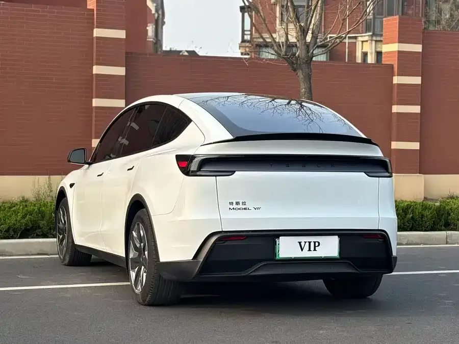 Tesla Model YL Model YL 2025 long-range all-wheel drive version 2025 — миниатюра 5