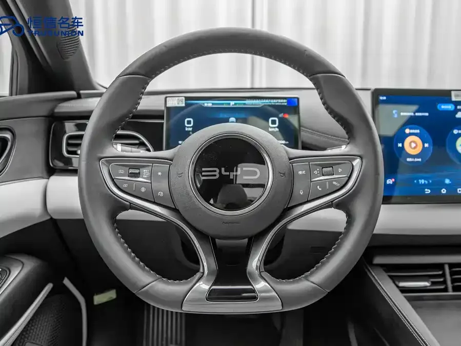 BYD Seal 06 Seal 06 2024 DM-i 120KM Premium Edition 2024 — миниатюра 5