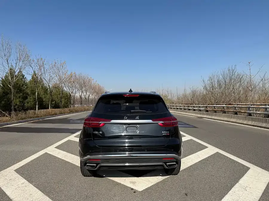 Hongqi HS5 Hongqi HS5 2022 2.0T Zhilian Flagship Edition 2023 — миниатюра 5