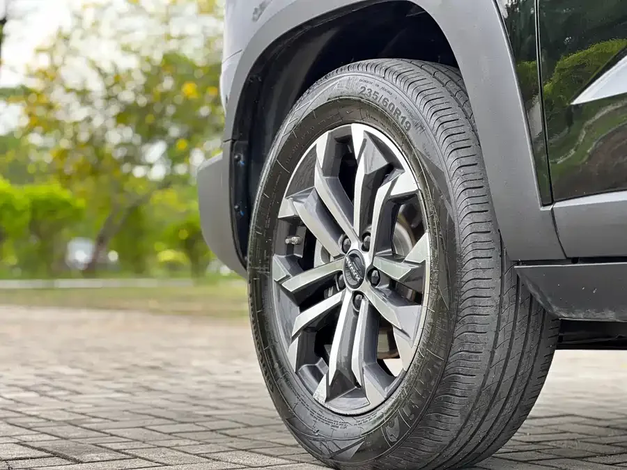 Haval Big dog Haval Big Dog 2024 1.5T DCT Border Collie Edition 2024 — миниатюра 3