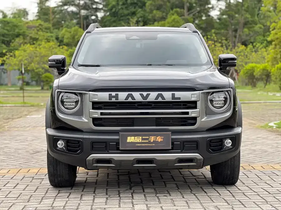 Haval Big dog Haval Big Dog 2024 1.5T DCT Border Collie Edition 2024 — фото 1, купить с доставкой в Москву