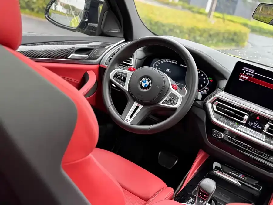BMW X4 M BMW X4 M 2022 X4 M Thunder Edition 2024 — миниатюра 4