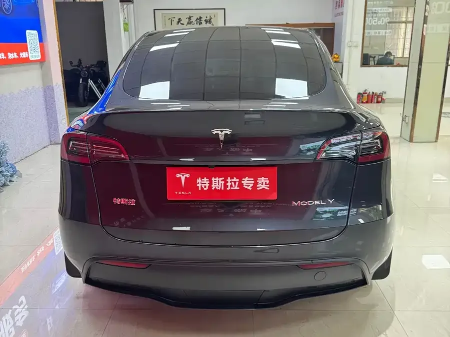 Tesla Model Y Model Y 2024 rear-wheel drive version 2024 — миниатюра 3