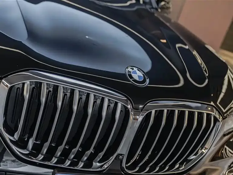 BMW X5 2022 facelift xDrive 40Li M Sport package 2023 — миниатюра 2
