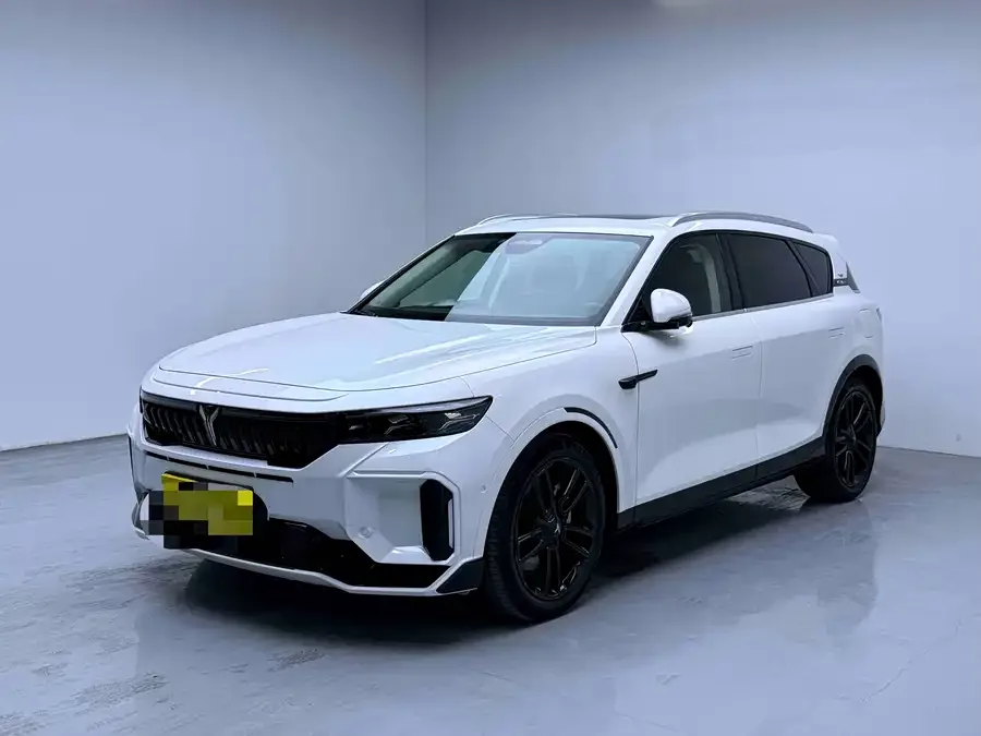 Voyah Lantu FREE Lantu FREE 2024 ultra-long battery life smart driving version 2023 — фото 1, купить с доставкой в Москву