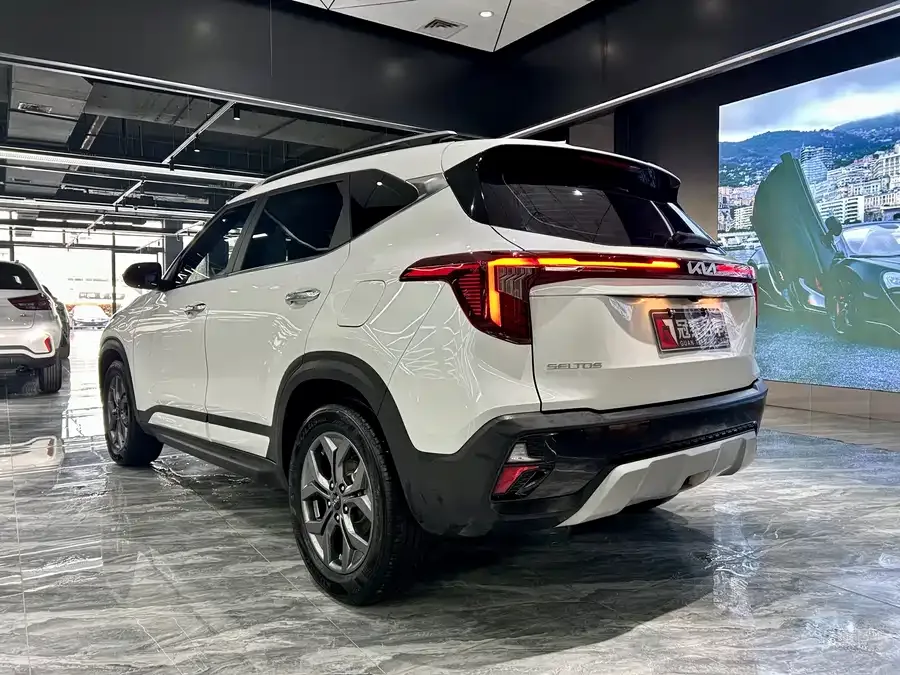 Kia Cyrus (Seltos) 2023 Certus 1.5L CVT Luxury Edition 2024 — миниатюра 4