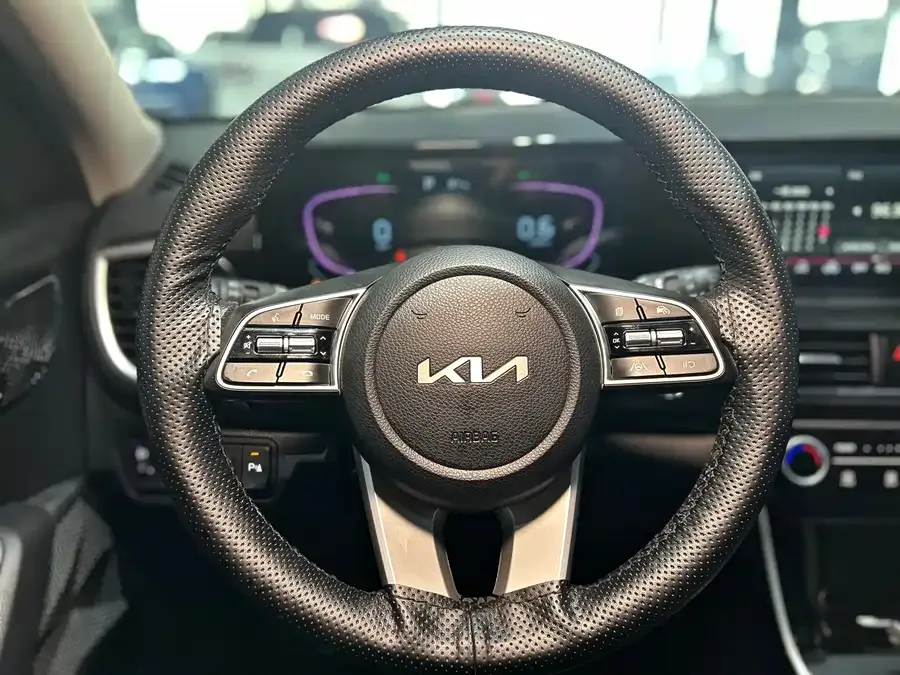 Kia Cyrus (Seltos) 2023 Certus 1.5L CVT Luxury Edition 2024 — миниатюра 5