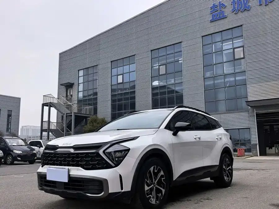 Kia Lion Platinum 2023 Lion Bo Tuojie 1.5T 2WD Premium Edition 2024 — фото 1, купить с доставкой в Москву