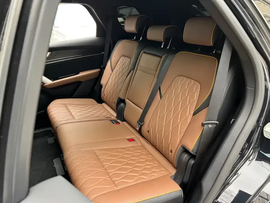 BYD Tang New Energy Tang New Energy 2021 DM-i 112KM Premium Edition 2023 — миниатюра 3