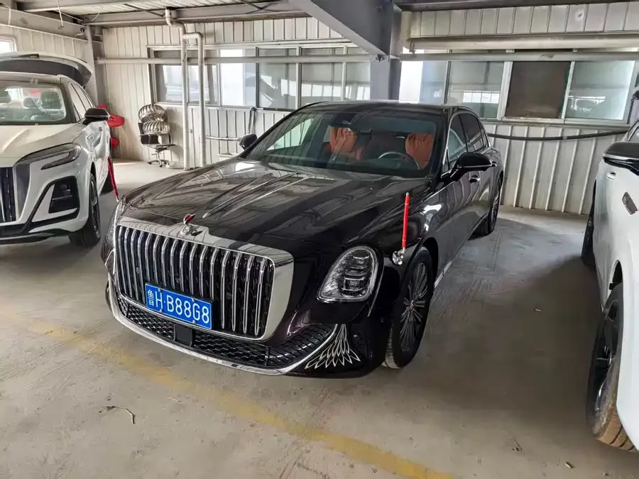 Hongqi Golden Sunflower Country Elegance 2025