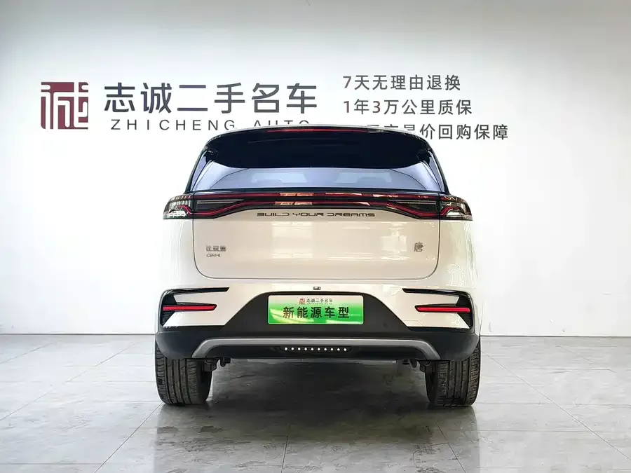 BYD Tang New Energy Tang New Energy 2023 DM-i Champion Edition 112KM Premium Edition 2023 — миниатюра 2