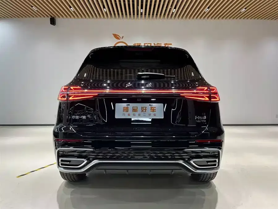 Hongqi HS5 Hongqi HS5 2025 2.0T 2WD Flagship Enjoy Pro Edition 2025 — миниатюра 5