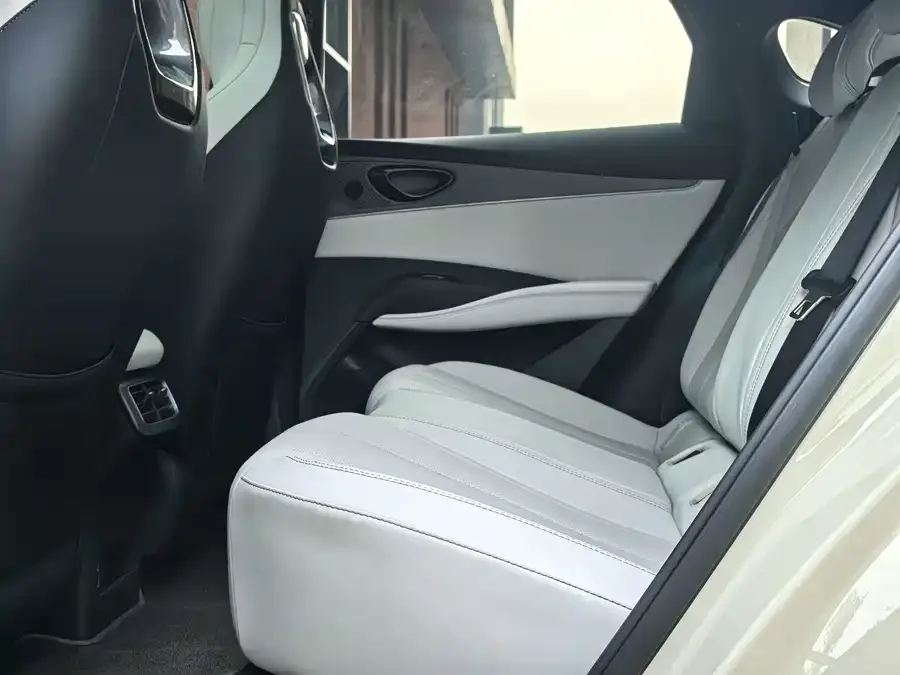 BYD Seal 06 Seal 06 2024 DM-i 120KM Premium Edition 2024 — миниатюра 4