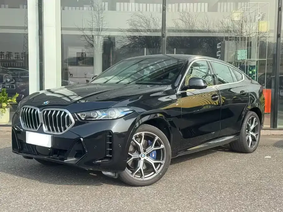 BMW X6 2024