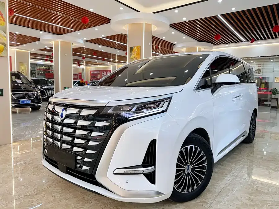 BYD D9 2023
