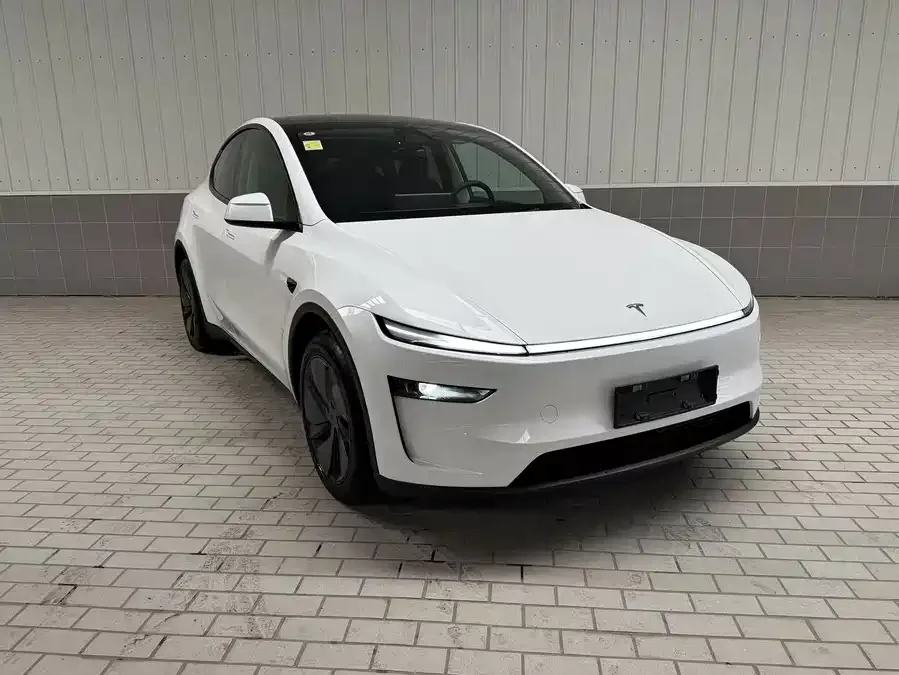 Tesla Model Y Model Y 2025 facelift long-range all-wheel drive version 2025 — миниатюра 2