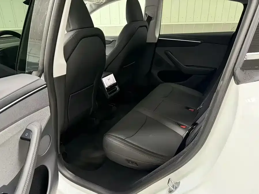 Tesla Model Y Model Y 2025 facelift long-range all-wheel drive version 2025 — миниатюра 5