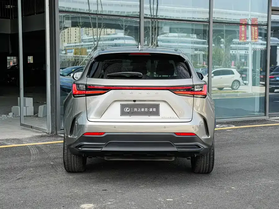 Lexus NX New Energy 2022 400h+ Changyue Edition 2023 — миниатюра 2