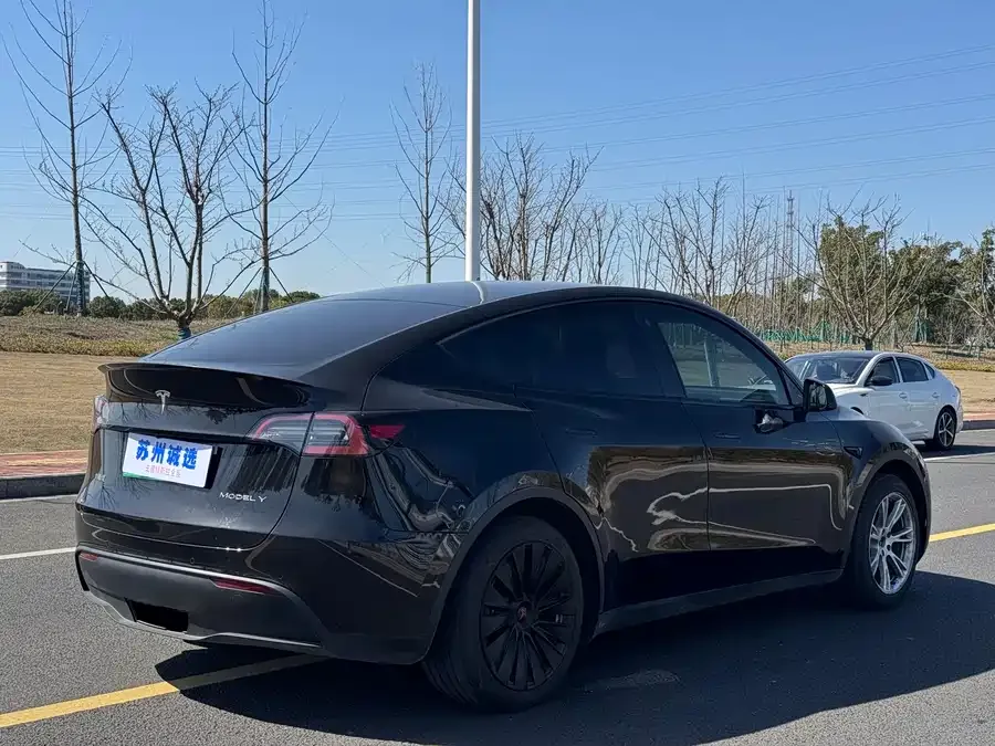 Tesla Model Y Model Y 2022 rear-wheel drive version 2023 — миниатюра 2