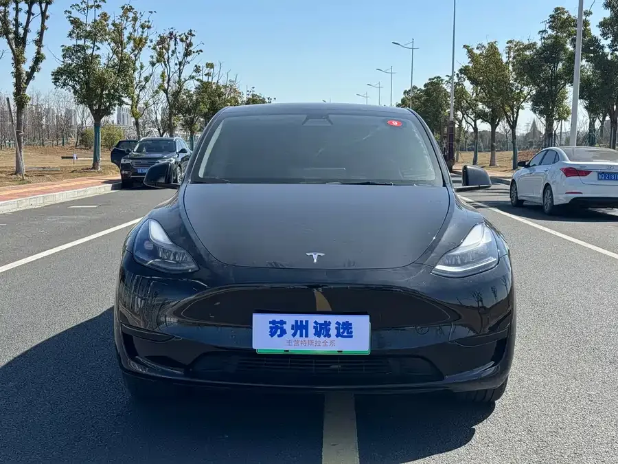 Tesla Model Y Model Y 2022 rear-wheel drive version 2023 — фото 1, купить с доставкой в Москву
