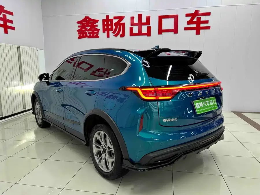 Haval Chitu (Red Rabbit) Haval Chitu 2022 Jinxiang Edition 1.5T Bronze Rabbit 2022 — миниатюра 4